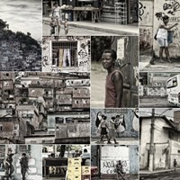 Портфолио TerraBR